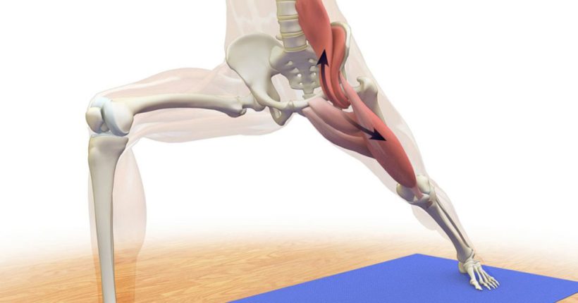 promofitness-artigo-O PSOAS E O PILATES